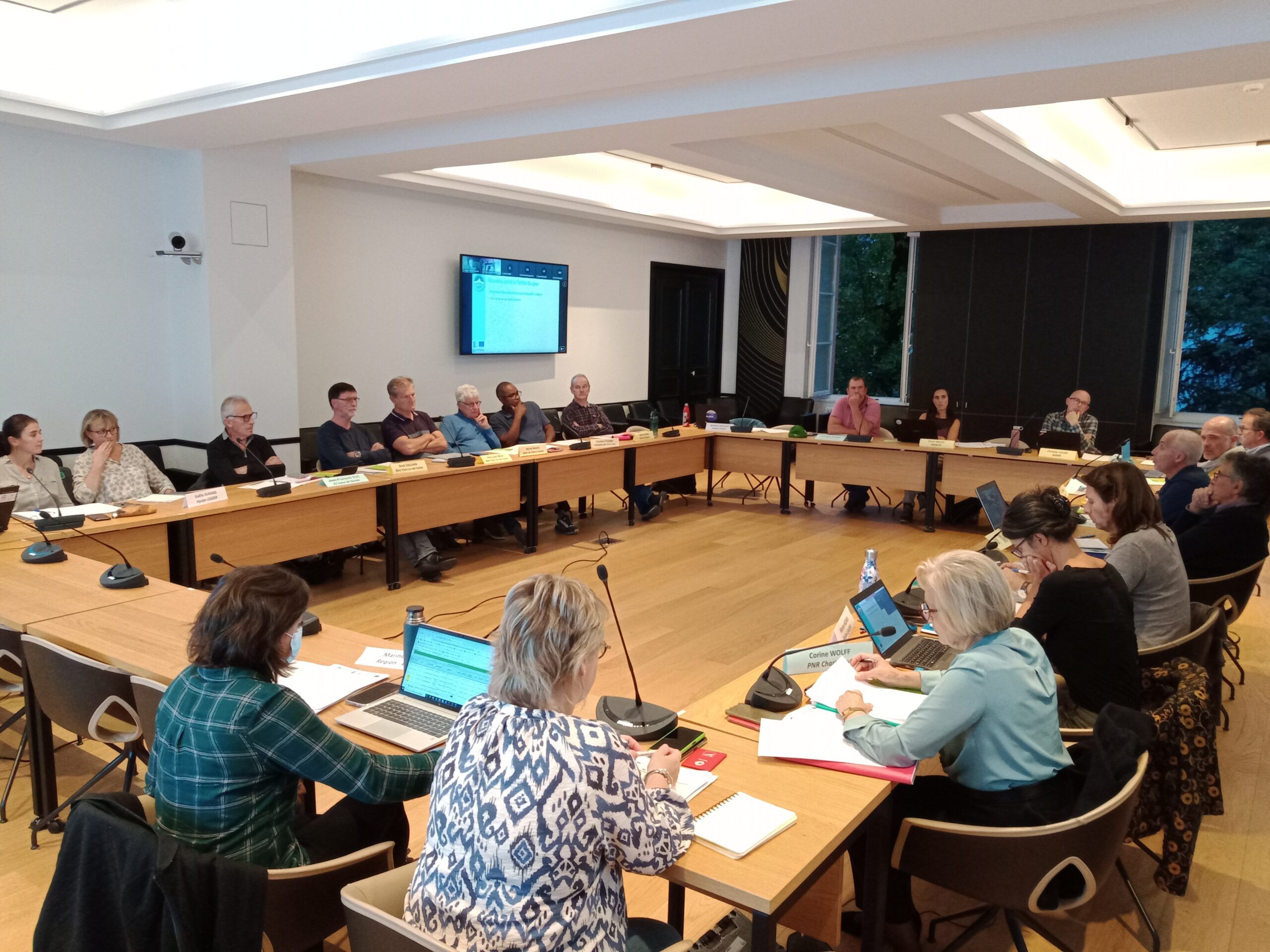 réunion COPROG LEADER ELEM